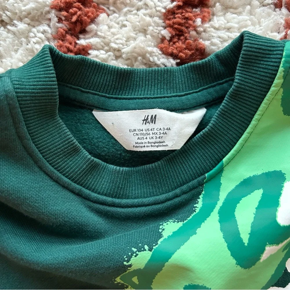 H&M Cool T-Rex Dino Graphic Cotton Terry Sweatpant Top Outfit Dark Green Size 4T